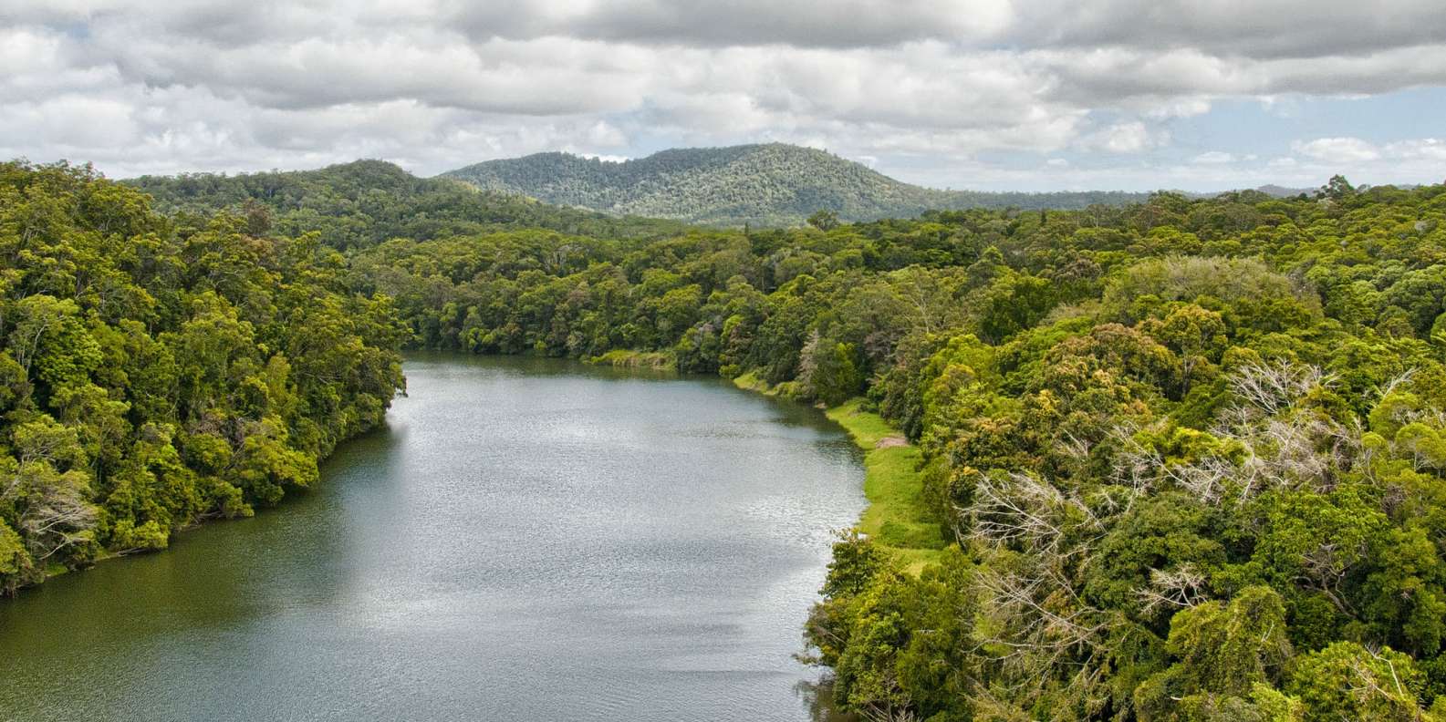 Parque Nacional Daintree