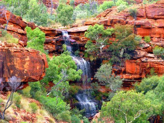 Parque Natural de Watarrka