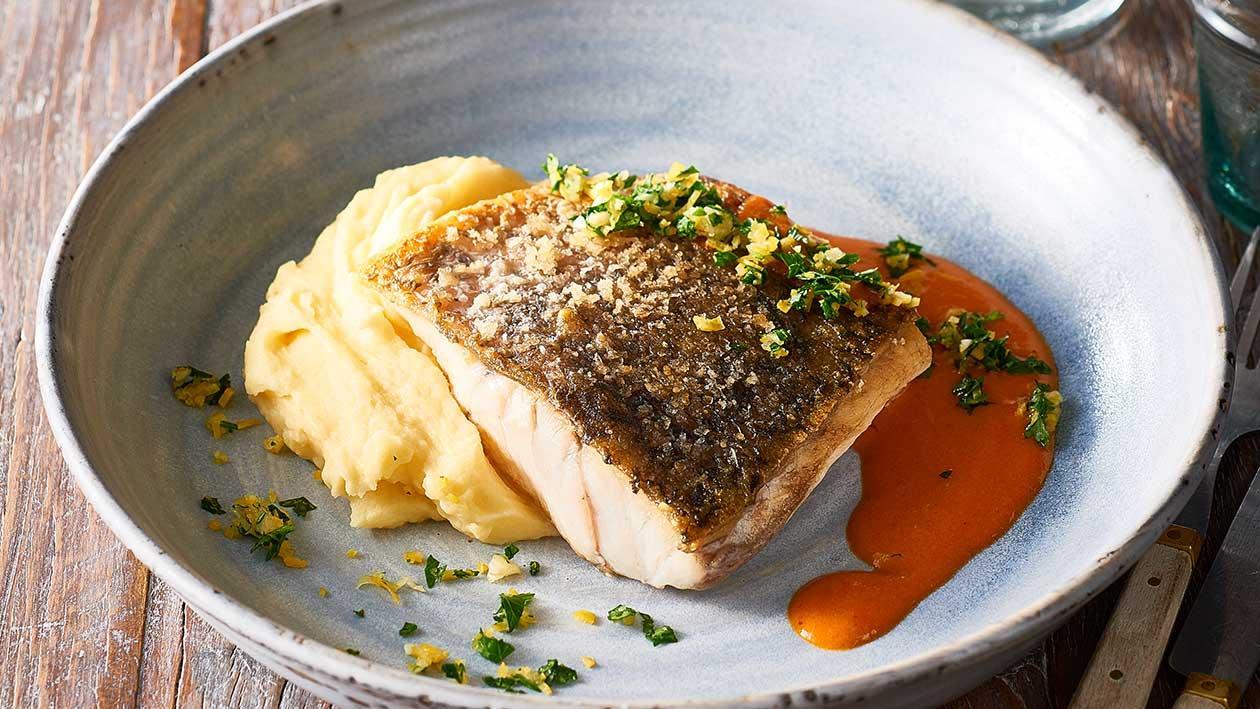 Barramundi
